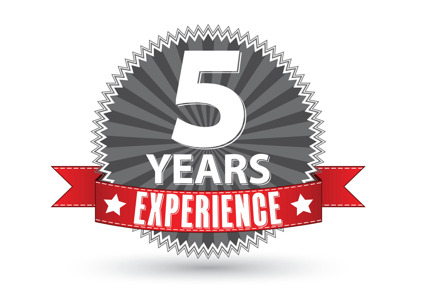 5 Experience Logo
